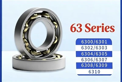 6303 djupt spårkullager